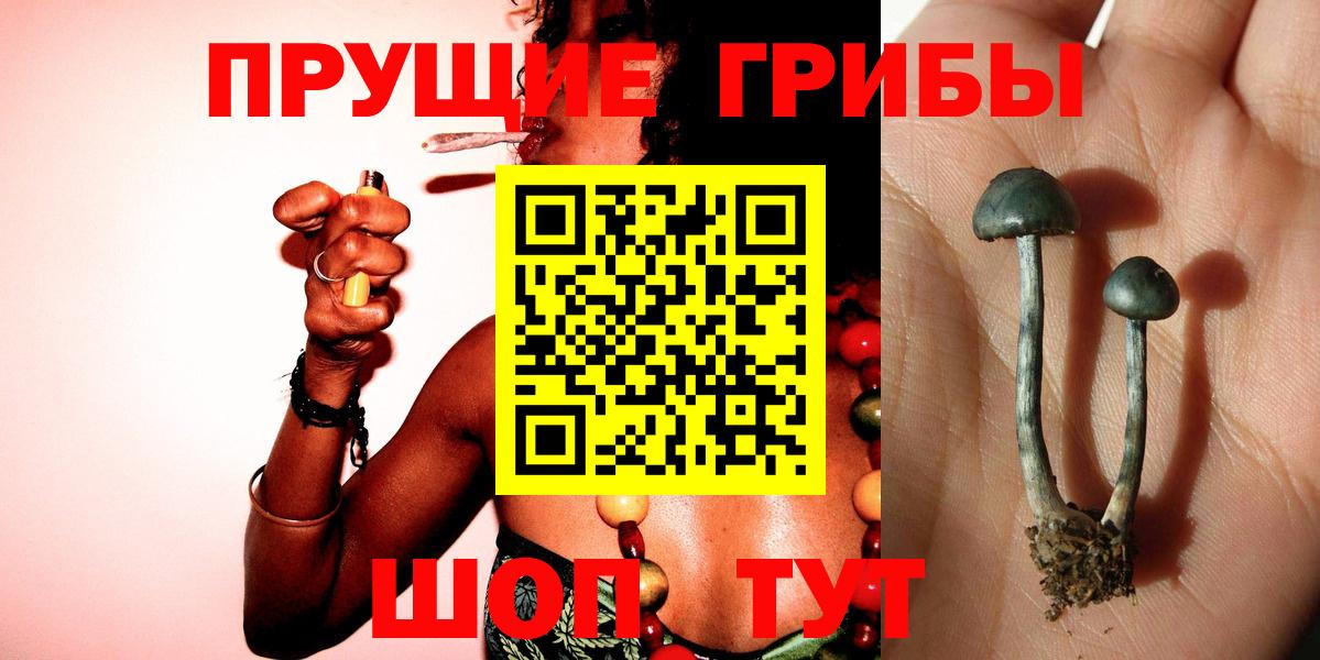 Псилоцибиновые грибы GOLDEN TEACHER  Вход с VPN  Казань 
